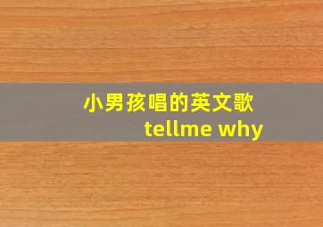 小男孩唱的英文歌 tellme why